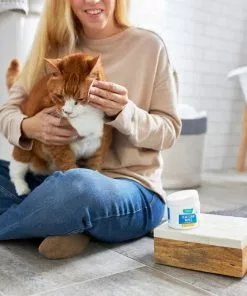 Frisco Tear Stain Eye Wipes for Puppies & Kittens, 45 count -The Frisco Store 222171 PT2. SY630 V1602846989