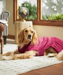 Frisco Faux Crystal & Pearl Dog & Cat Sweater Dress -The Frisco Store 223717 PT7. SY630 V1599564978