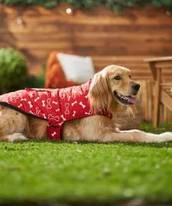 Frisco Patterned Bones Insulated Dog & Cat Coat -The Frisco Store 223953 PT7. SY630 V1601578878