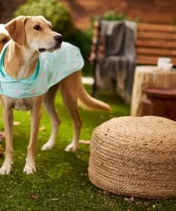 Frisco Flamingo Dog Raincoat -The Frisco Store 224065 PT7. SY630 V1614985901