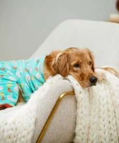 Frisco Sea Creatures Dog & Cat Cozy Fleece PJs -The Frisco Store 224104 PT7. SY630 V1599565898