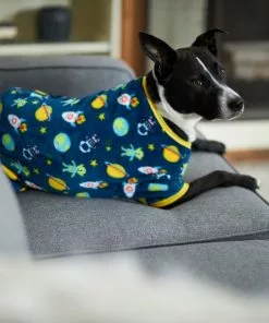 Frisco Outer Space Dog & Cat Cozy Fleece PJs -The Frisco Store 224125 PT7. SY630 V1599923554