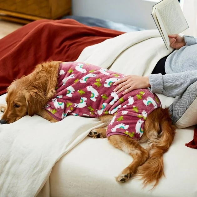 Frisco Llamas Dog & Cat Cozy Fleece PJs 6 Frisco Llamas Dog & Cat Cozy Fleece PJs - Image 4