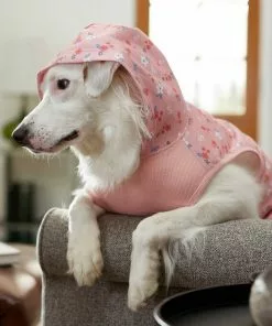 Frisco Floral Dog & Cat Hoodie 16 Frisco Floral Dog & Cat Hoodie -The Frisco Store 224217 PT6. SY630 V1637651830