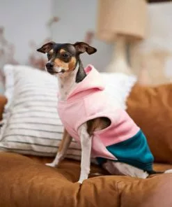 Frisco Colorblock Dog & Cat Sleeveless Hoodie -The Frisco Store 224258 PT6. SY630 V1637672226