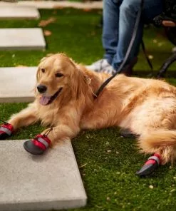 Frisco Anti-Slip Soft-Soled Dog Boots -The Frisco Store 224360 PT7. SY630 V1601578001