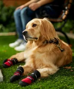 Frisco Anti-Slip Extended Cuff Length Dog Boots -The Frisco Store 224374 PT7. SY630 V1601577663