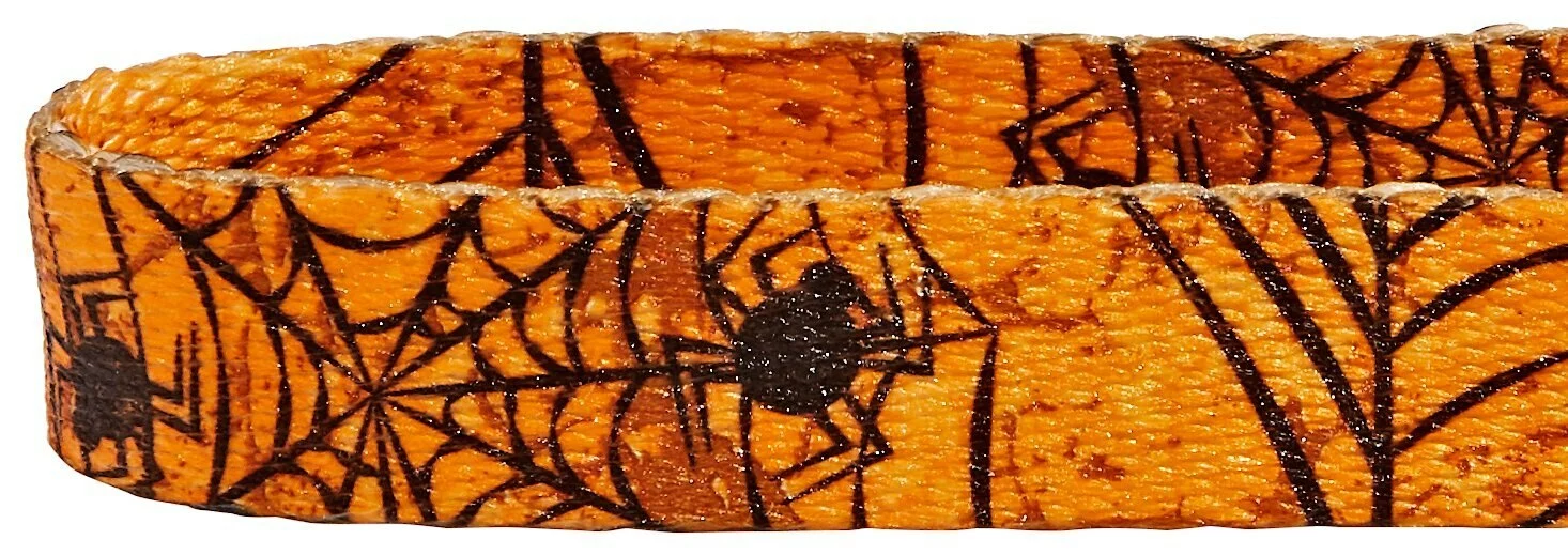 Frisco Orange Cobwebs Polyester Dog Collar 5 Frisco Orange Cobwebs Polyester Dog Collar - Image 3