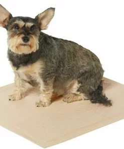 Frisco Large Eco-Conscious Dog Training & Potty Pads, 22 x 23-in, Unscented -The Frisco Store 227438 PT1. SY630 V1604674354