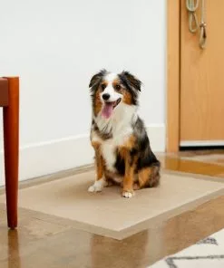 Frisco Extra Large Eco-Conscious Dog Training & Potty Pads, 28 x 34-in, Unscented -The Frisco Store 227441 PT6. SY630 V1604700713