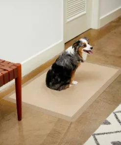 Frisco Giant Eco-Conscious Dog Training & Potty Pads, 27.5 x 44-in, Unscented -The Frisco Store 227444 PT6. SY630 V1604702010