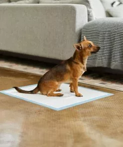 Frisco Non-Skid Ultra Premium Dog Training & Potty Pads, 22 x 23-in -The Frisco Store 227447 PT6. SY630 V1604701029