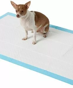 Frisco Giant Non-Skid Ultra Premium Dog Training & Potty Pads, 27.5 x 44-in -The Frisco Store 227453 PT1. SY630 V1605808611