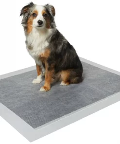 Frisco Extra Large Charcoal Dog Training & Potty Pads, 28 x 34-in, Unscented -The Frisco Store 227459 PT1. SY630 V1604674349