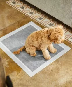 Frisco Extra Large Charcoal Dog Training & Potty Pads, 28 x 34-in, Unscented -The Frisco Store 227459 PT6. SY630 V1604701315