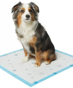 Frisco Printed Dog Training & Potty Pads, 22 x 23-in, Unscented -The Frisco Store 227465 PT1. SY630 V1604673405