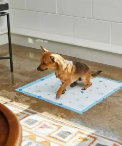Frisco Printed Dog Training & Potty Pads, 22 x 23-in, Unscented -The Frisco Store 227465 PT6. SY630 V1604701913