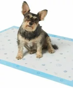Frisco Giant Printed Dog Training & Potty Pads, 27.5 x 44-in, Unscented 8 Frisco Giant Printed Dog Training & Potty Pads, 27.5 x 44-in, Unscented -The Frisco Store 227471 PT1. SY630 V1604673531