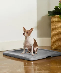 Frisco Training Pad Holder -The Frisco Store 227474 PT6. SY630 V1604701643