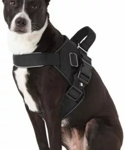 Frisco Big Dog Harness -The Frisco Store 227874 PT4. SY630 V1603409794