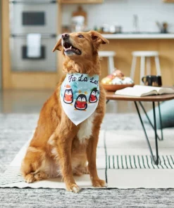Frisco Fa La La Dog & Cat Bandana -The Frisco Store 228977 PT7. SY630 V1601640685