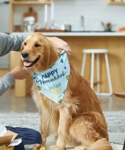 Frisco Happy Hanukkah Dog & Cat Bandana -The Frisco Store 228980 PT5. SY630 V1637684347