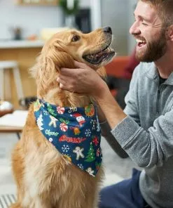 Frisco Holiday & New Years Dog & Cat Bandana, 2 pack 16 Frisco Holiday & New Years Dog & Cat Bandana, 2 pack -The Frisco Store 228983 PT6. SY630 V1637659015