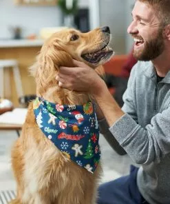 Frisco Holiday & New Years Dog & Cat Bandana, 2 pack 17 Frisco Holiday & New Years Dog & Cat Bandana, 2 pack -The Frisco Store 228983 PT7. SY630 V1601637677