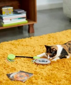 Frisco Retro CD Player Plush Cat Toy with Catnip 7 Frisco Retro CD Player Plush Cat Toy with Catnip -The Frisco Store 230262 PT3. SY630 V1602639710