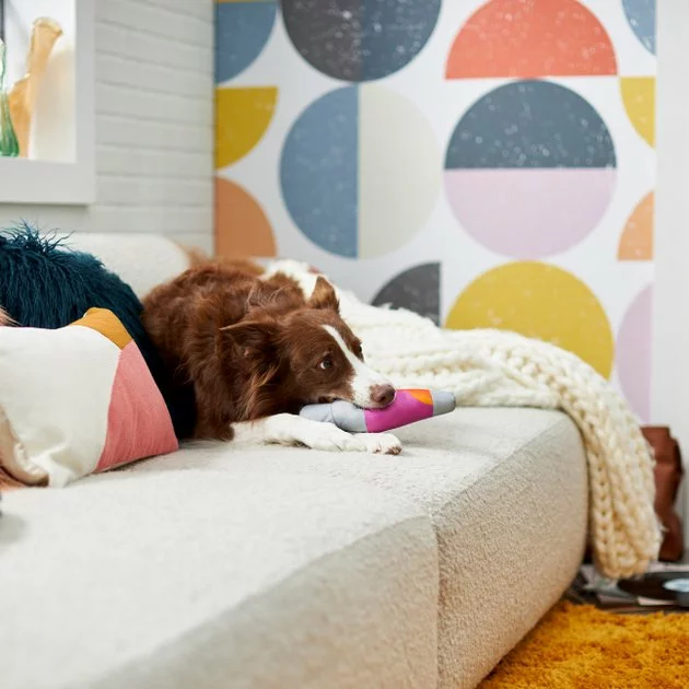 Frisco Retro Lava Lamp Ballistic Nylon Plush Squeaky Dog Toy 5 Frisco Retro Lava Lamp Ballistic Nylon Plush Squeaky Dog Toy - Image 3