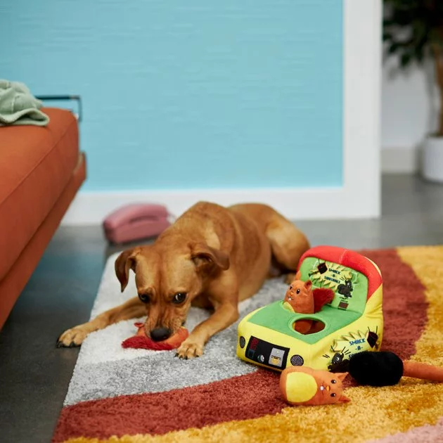 Frisco Retro Smack-a-Squirrel Hide & Seek Plush Puzzle Squeaky Dog Toy 6 Frisco Retro Smack-a-Squirrel Hide & Seek Plush Puzzle Squeaky Dog Toy - Image 4