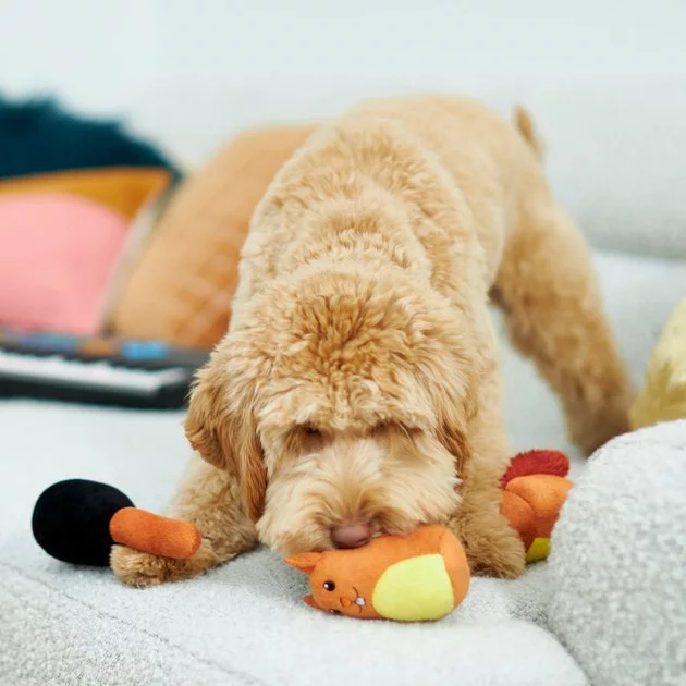 Frisco Retro Smack-a-Squirrel Hide & Seek Plush Puzzle Squeaky Dog Toy Refill 5 Frisco Retro Smack-a-Squirrel Hide & Seek Plush Puzzle Squeaky Dog Toy Refill - Image 3