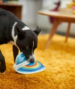 Frisco Retro Visor Plush Squeaky Dog Toy -The Frisco Store 230335 PT3. SY630 V1602639720