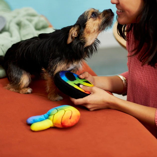Frisco Retro Peace Sign Plush Squeaky Dog Toy 5 Frisco Retro Peace Sign Plush Squeaky Dog Toy - Image 3