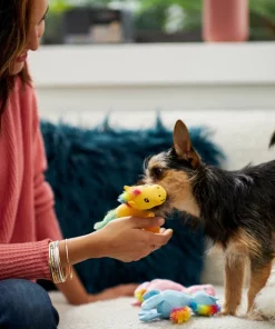 Frisco Retro Colorful Pony Plush Squeaky Dog Toy 7 Frisco Retro Colorful Pony Plush Squeaky Dog Toy -The Frisco Store 230357 PT3. SY630 V1601947361