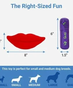 Frisco Retro Lip Gloss Plush Squeaky Dog Toy 6 Frisco Retro Lip Gloss Plush Squeaky Dog Toy -The Frisco Store 230365 PT1. SY630 V1599943557
