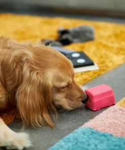 Frisco Retro Funky Van TPE Treat Dispenser Dog Toy 7 Frisco Retro Funky Van TPE Treat Dispenser Dog Toy -The Frisco Store 230382 PT3. SY630 V1602639677