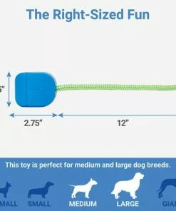 Frisco Retro PC Mouse Rubber Tug & Fetch Dog Toy -The Frisco Store 230385 PT1. SY630 V1599943590