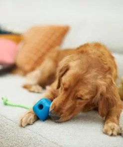 Frisco Retro PC Mouse Rubber Tug & Fetch Dog Toy -The Frisco Store 230385 PT3. SY630 V1606953426