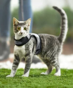 Frisco Wrap Cat Harness 14 Frisco Wrap Cat Harness -The Frisco Store 230690 PT5. SY630 V1601080866