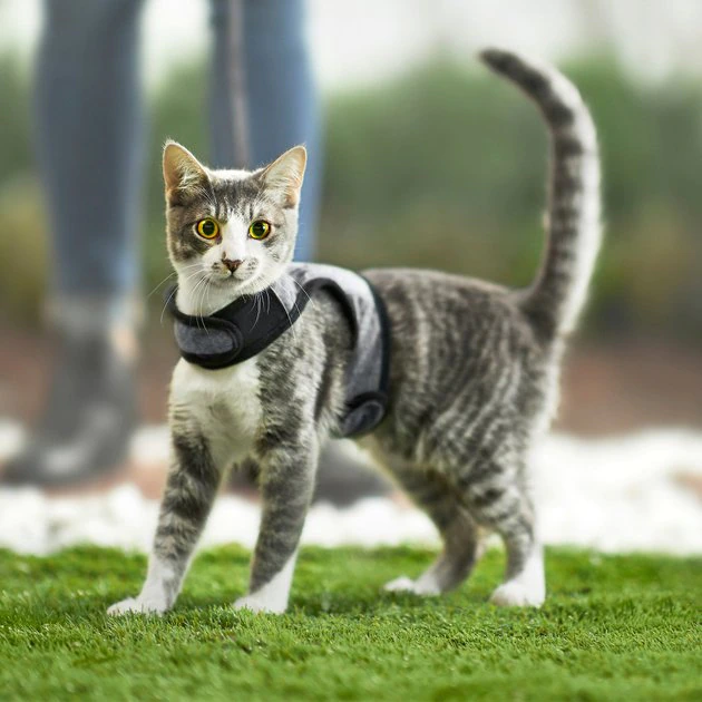 Frisco Wrap Cat Harness 8 Frisco Wrap Cat Harness - Image 6