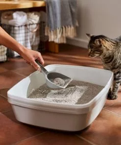 Frisco Lightweight Unscented Clumping Cat Litter -The Frisco Store 230716 PT4. SY630 V1659023918