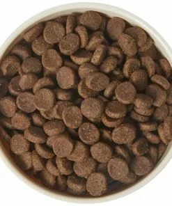 Frisco Melamine Dog & Small Pet Bowl with Bamboo Base -The Frisco Store 232065 PT6. SY630 V1608597165