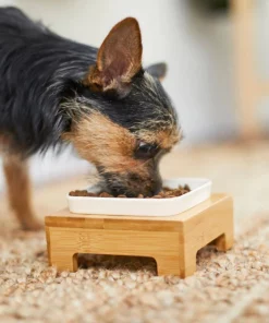 Frisco Square Melamine Dog & Cat Bowl with Bamboo Stand -The Frisco Store 232072 PT8. SY630 V1605746845