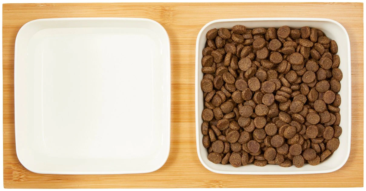 Frisco Square Melamine Dog & Cat Bowl Set with Bamboo Stand 6 Frisco Square Melamine Dog & Cat Bowl Set with Bamboo Stand - Image 4