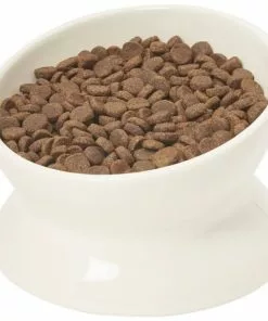 Frisco Double-Sided Ceramic Elevated Cat Bowl, 1.25 cups -The Frisco Store 232081 PT1. SY630 V1605109355