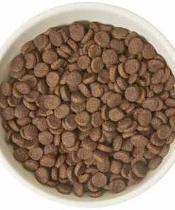 Frisco Double-Sided Ceramic Elevated Cat Bowl, 1.25 cups -The Frisco Store 232081 PT3. SY630 V1605145964