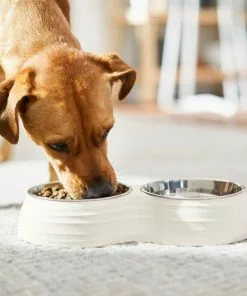 Frisco Stainless Steel Double Dog Bowls with Melamine Stand -The Frisco Store 232091 PT8. SY630 V1605738450