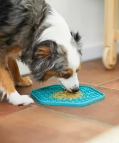 Frisco Silicone Treat Lick Mat, 2 Count -The Frisco Store 232099 PT7. SY630 V1605739324