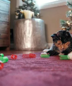 Frisco Holiday Springs Cat Toy, 10 count 6 Frisco Holiday Springs Cat Toy, 10 count -The Frisco Store 233307 PT2. SY630 V1602172363